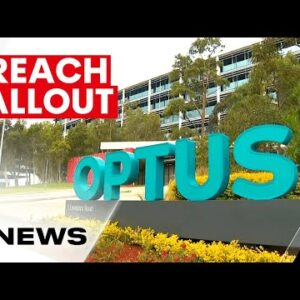 Queensland victims of Optus hacking to be offered new driver's licences | 7NEWS