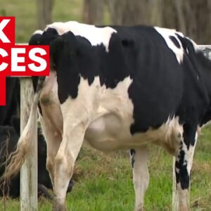 Milk prices increasing across Australia | 7NEWS