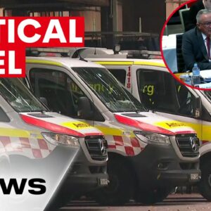 Patients in ambulances are waiting hours in Sydney | 7NEWS