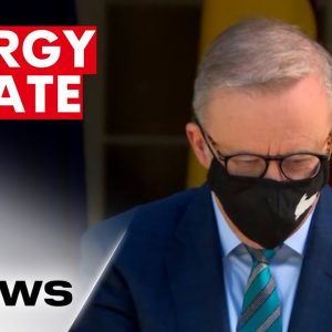 Energy rebate announced by Prime Minister Anthony Albanese | 7NEWS