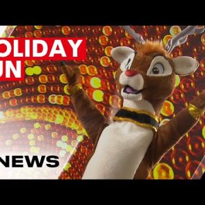 Things to do at Christmas time in Brisbane and Ipswich | 7NEWS