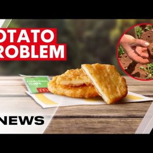 McDonald's accused of hoarding potatoes as Australia's supply dwindles | 7NEWS
