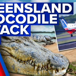 Man pries open crocodile’s jaws to release his head | 9 News Australia