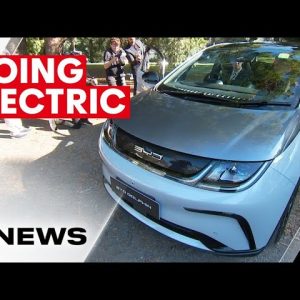 Electric BYD Dolphin car goes on sale for under $40,000 | 7NEWS
