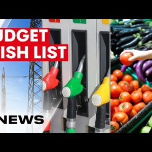 Older Queenslanders reveal cost of living wish list ahead of state budget  | 7NEWS