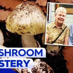Homicide detectives investigate suspected wild mushroom poisoning in Victoria | 9 News Australia