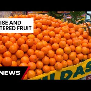 Unusual looking fruit and vegetables could offer big savings | 7NEWS