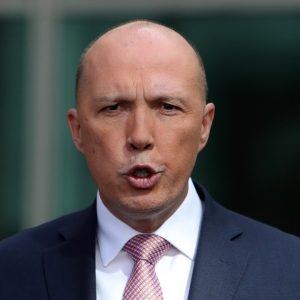 Dutton slams Albanese govt as a 'complete circus' over immigration detention saga