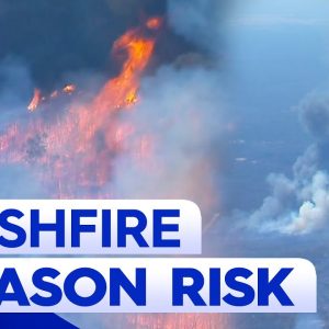 NSW facing another dire bushfire season | 9 News Australia