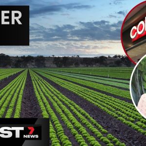 Farmers worried as Coles call for suppliers to drop prices for customer savings | 7 News Australia