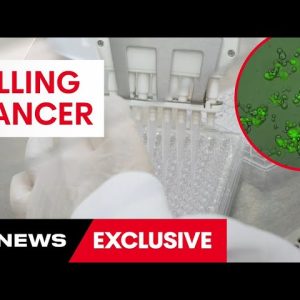 Australian company saving lives using a cancer eating virus | 7 News Australia