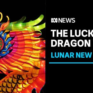 Lunar New Year 2024: What does the year of the dragon mean? | ABC News