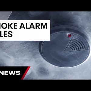 Queenslanders urged to check smoke alarms after Russell Island fire | 7 News Australia