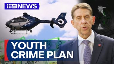 Queensland government to launch major offensive combating youth crime | 9 News Australia