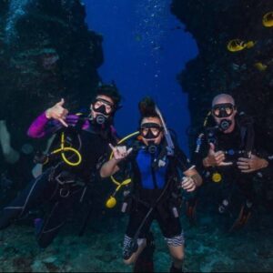 Dive Maui / Whale Watching Maui