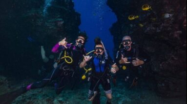 Dive Maui / Whale Watching Maui